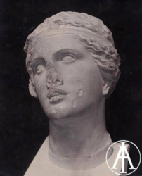 Atene, Museo Archeologico Nazionale, frammento della testa di una statua di divinità femminile (Afrodite?).<br>Fot.: Edizioni Alinari, Firenze, n. 24205.<br>Data ripresa: 1930 ca. <br>Fondo Lugli, inv. 73911
