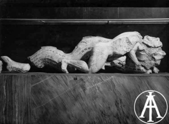 Atene, Museo dell'Acropoli, Eracle combatte Tritone, dal frontone del tempio di Athena Poliàs, 520 a.C.<br>Fot.: Edizioni Alinari, Firenze, n. 24616.<br>Data ripresa: 1930 ca. <br>Fondo Lugli, inv. 73941