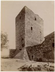 Argiano (SI), veduta animata della torre.<br>
Albumina, mm. 190 x 255
<br>Fot.: Istituto Italiano d'Arti Grafiche, Bergamo.
<br>Data ripresa: 1905 circa-1911
<br>Fondo Ricci, inv. 32758