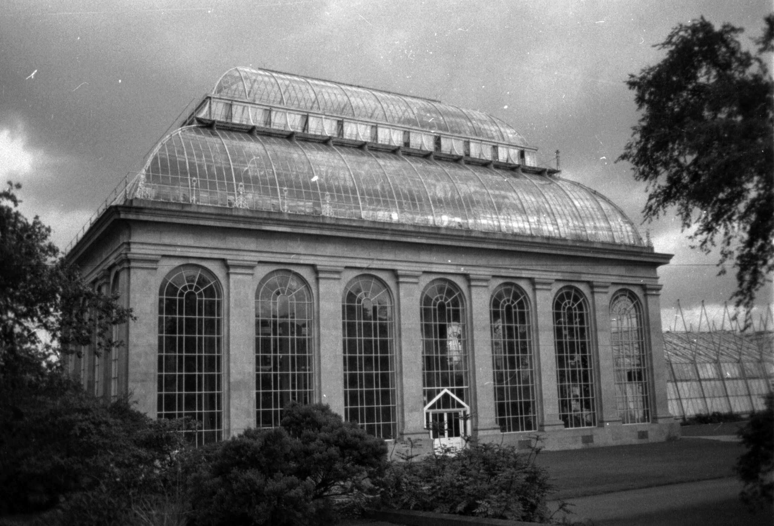 Edinburgo, Botanic Gardens, Large Palm House