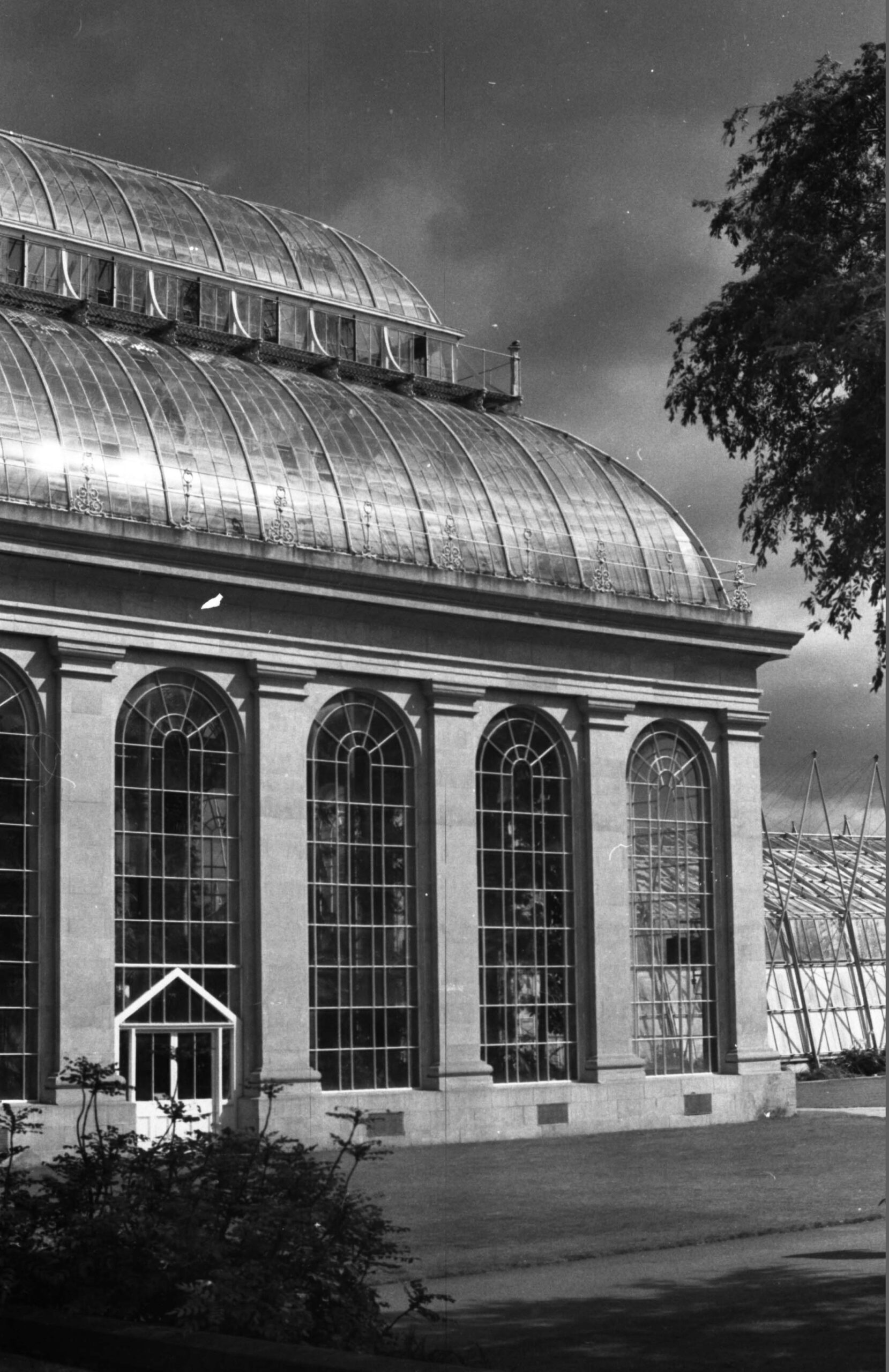 Edinburgo, Botanic Gardens, Large Palm House: la copertura e le vetrate perimetrali