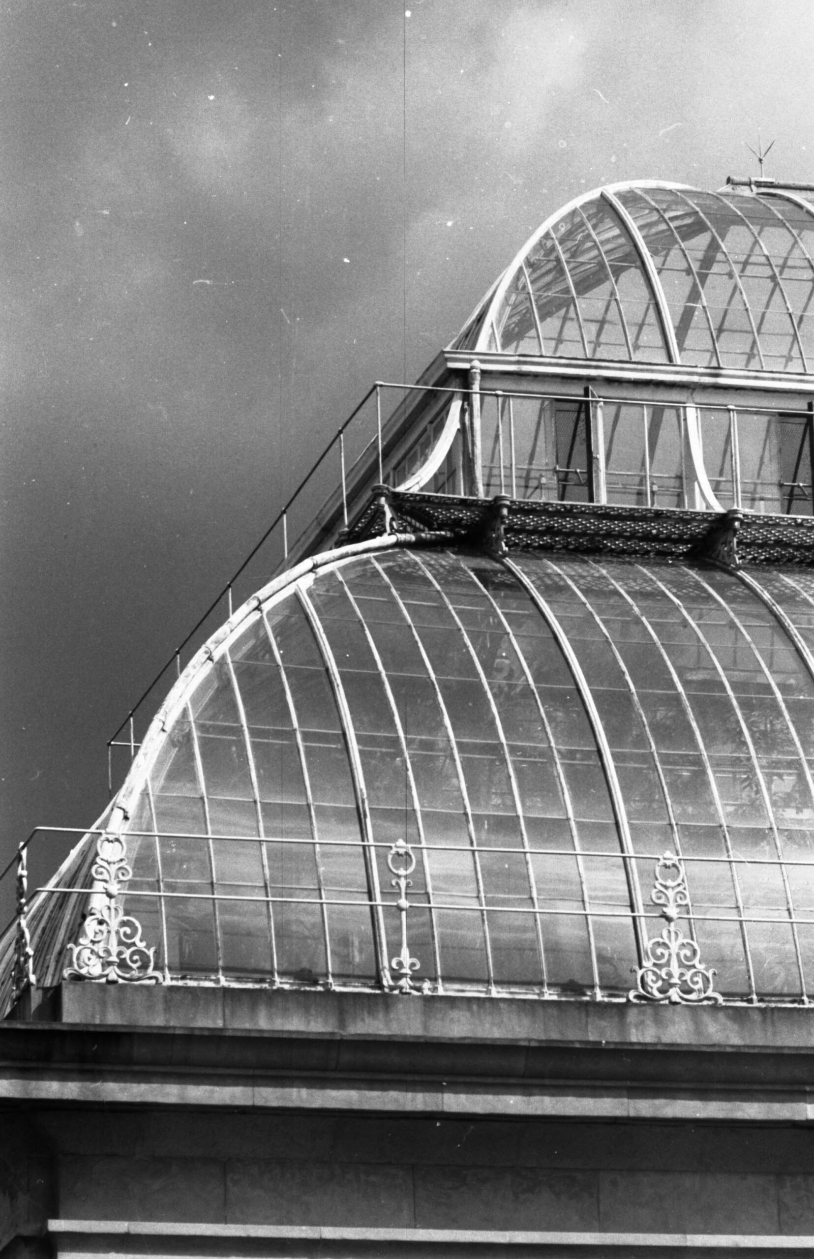 Botanic Gardens Large Palm House, dettaglio dell'angolo della copertura
